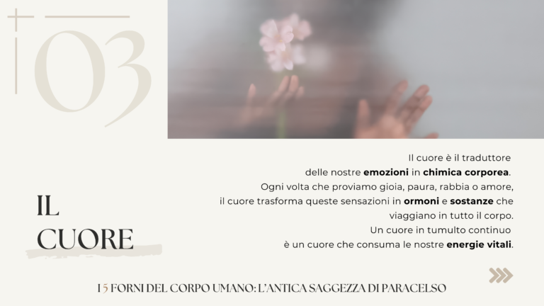 Carosello I 5 forni - Paracelso (Presentazione) - 4