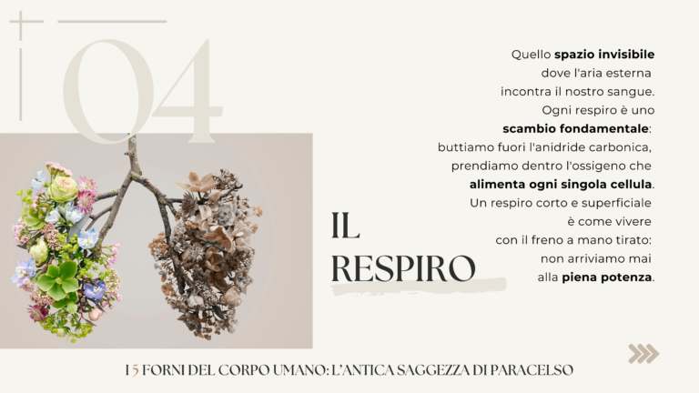 Carosello I 5 forni - Paracelso (Presentazione) - 5