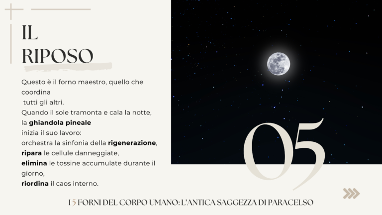 Carosello I 5 forni - Paracelso (Presentazione) - 6